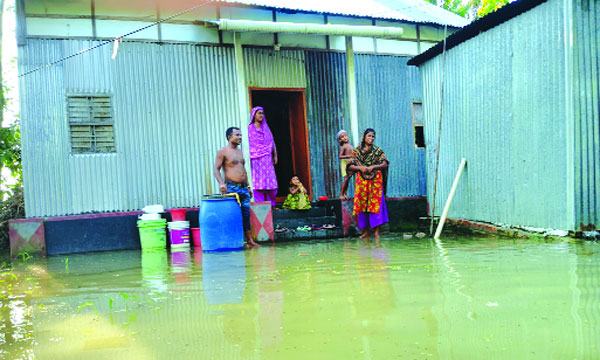 ফসলি জমি, ঘরবাড়ি পানির নিচে