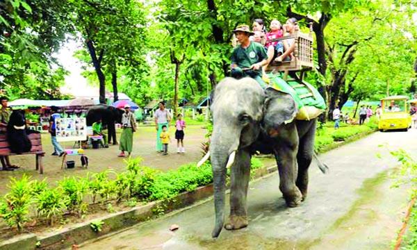 ইয়াংগুন চিড়িয়াখানা