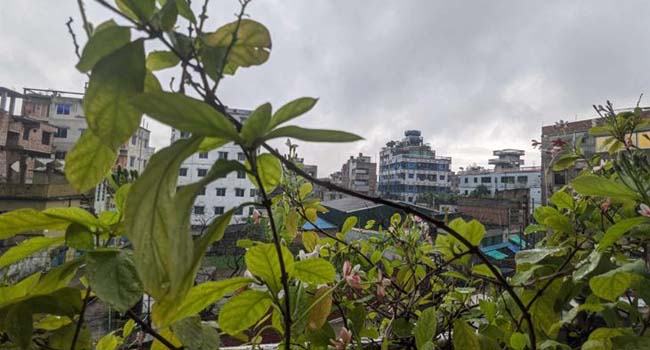 বৃষ্টির পর তাপমাত্রা কমবে