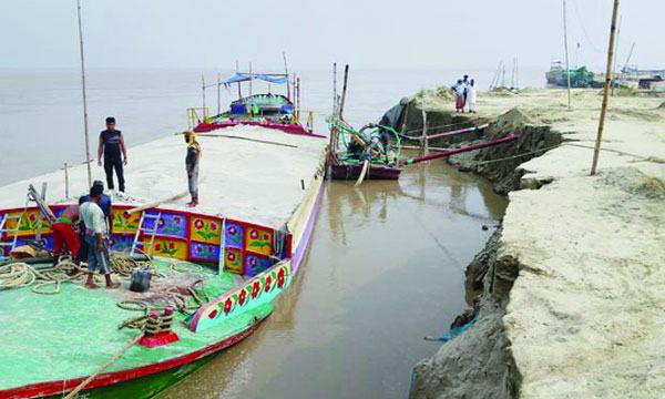ভেড়ামারার বিস্তীর্ণ এলাকা পদ্মার ভাঙনের কবলে