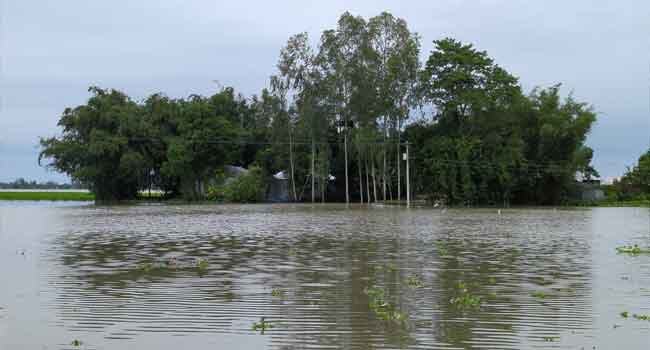 তিস্তায় পানি বেড়ে নিম্নাঞ্চল প্লাবিত, পানিবন্দী ২ হাজার মানুষ
