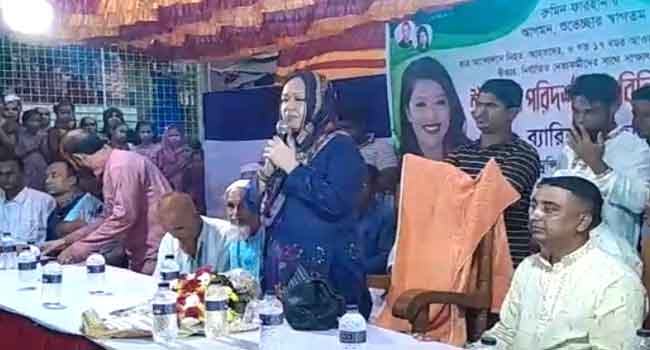 আমি ব্রাহ্মণবাড়িয়া-২ আসনে নির্বাচন করতে চাই : রুমিন ফারহানা