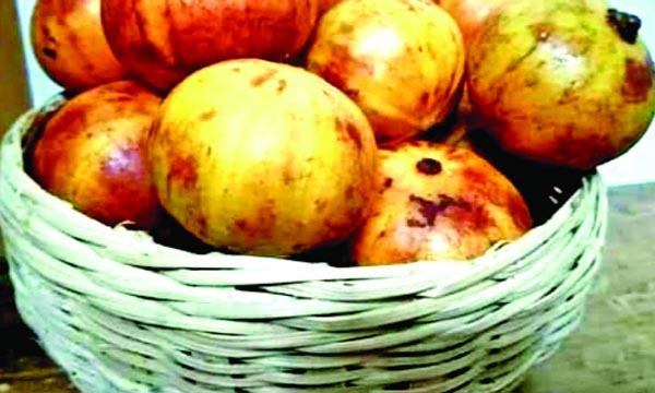 কাউফল-২