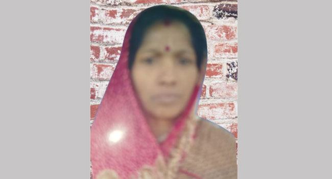 নোয়াখালীতে পূজার ফুল তুলতে গিয়ে সাপে কাটায় গৃহবধূর মৃত্যু