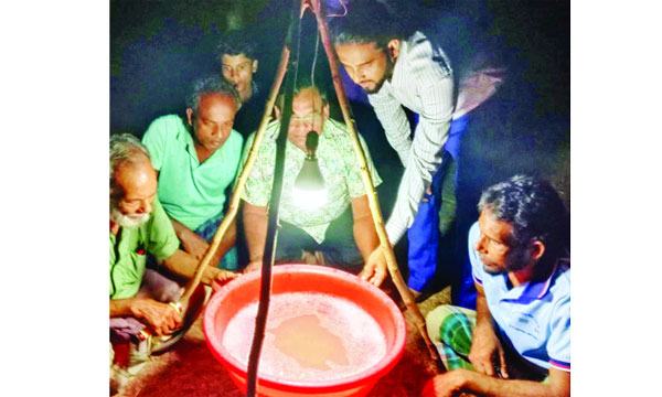ধানক্ষেতে পোকা দমনে আলোর ফাঁদ