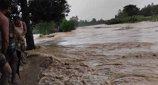 শেরপুরে টানা বর্ষণ ও ভারতীয় পাহাড়ি ঢলে শতাধিক গ্রাম প্লাবিত