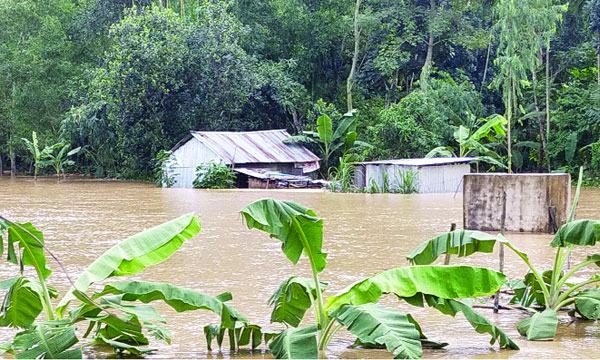 বাঁধ ভেঙে শেরপুরের নিম্নাঞ্চল প্লাবিত