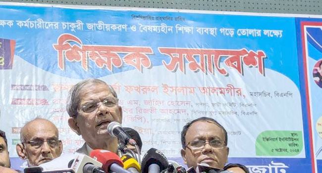আবার মাইনাস টু দেখতে চাই না : মির্জা ফখরুল