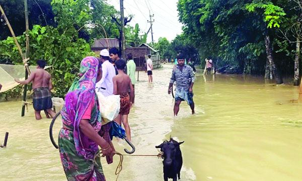 ময়মনসিংহে আরো ৫০ গ্রাম প্লাবিত