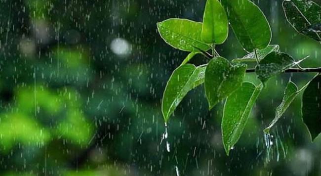 ঢাকাসহ কয়েকটি বিভাগে ভারী বৃষ্টির আভাস