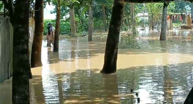 শেরপুরে বন্যা পরিস্থিতির উন্নতি হলেও বাড়ছে দুর্ভোগ
