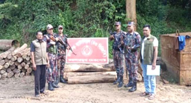 মিরসরাইয়ে বিজিবির অভিযানে অবৈধ কাঠ জব্দ