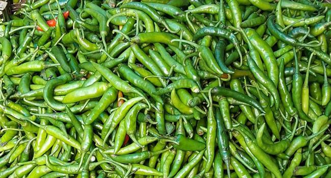 কাঁচা মরিচের কেজি ৬০০ টাকা