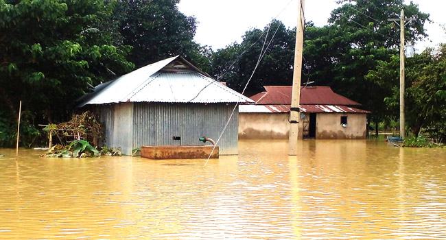 হালুয়াঘাটে বন্যার পানি কমতে শুরু করেছে, সহায়তা অপ্রতুল