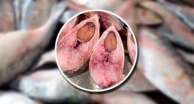 রাজশাহীতে কেটে বিক্রি হচ্ছে ইলিশ