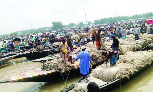 যমুনায় জমে উঠেছে পাটের ভাসমান হাট
