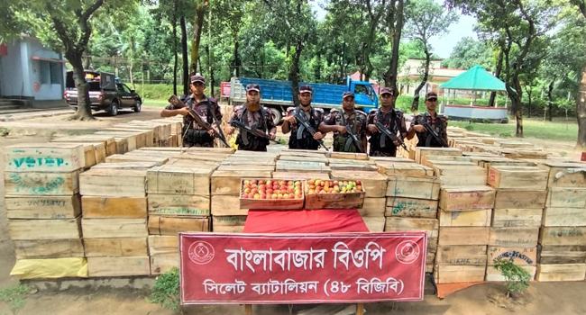 সুনামগঞ্জের দোয়ারাবাজার সীমান্তে অর্ধকোটি টাকার আপেল জব্দ
