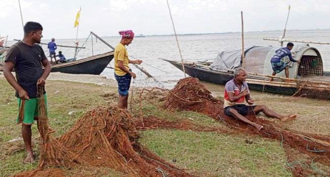 পদ্মায় ইলিশ জেলেদের কাছে এখন সোনার হরিণ