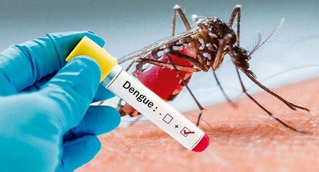 ডেঙ্গুতে ৯ জনের মৃত্যু, হাসপাতালে ভর্তি ৯১৫