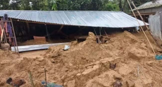 বন্যায় শেরপুরে কৃষি ও মৎস্যখাতে ক্ষতি ৬০০ কোটির বেশি