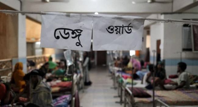 ডেঙ্গুতে আরো ৪ জনের মৃত্যু, হাসপাতালে ভর্তি ৬৬০
