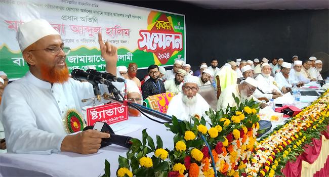 ‘আধিপত্যবাদীদের সহায়তায় আ’লীগ গণতন্ত্রকে হত্যা করেছে’
