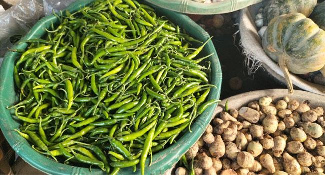 ভূরুঙ্গামারীতে কাঁচা মরিচের কেজি ৬০০ টাকা!