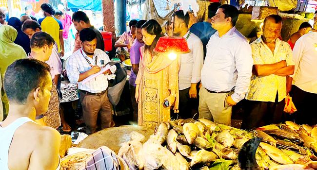 জেলিযুক্ত চিংড়ি বিক্রি করায় কালীগঞ্জে ভ্রাম্যমাণ আদালতের জরিমানা