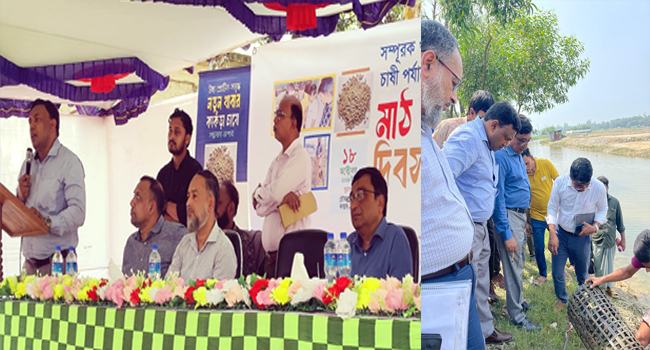 কাঁকড়া চাষের মাধ্যমে উপকূলীয় জনগোষ্ঠীর উন্নয়ন ঘটবে : নোবিপ্রবি ভিসি
