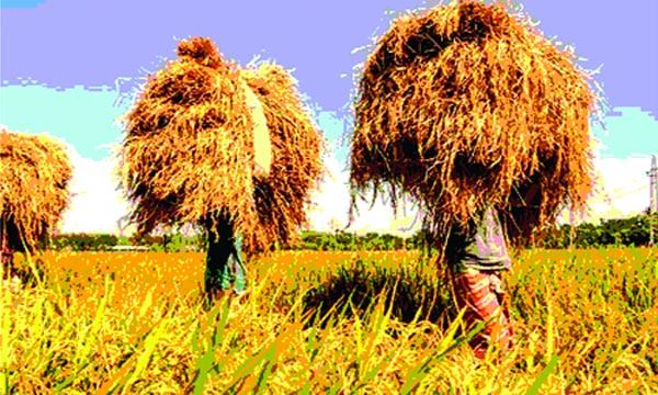 হেমন্তের আগমনে
