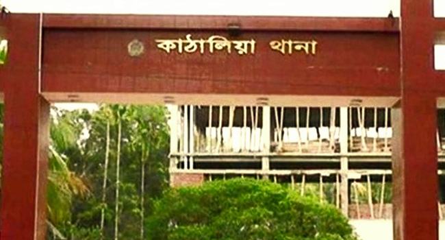 কাঁঠালিয়ায় গাছ থেকে পড়ে শ্রমিকের মৃত্যু