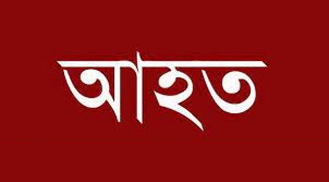 পুঠিয়ায় আ’লীগকর্মীদের হামলায় বিএনপির ৪ কর্মী আহত