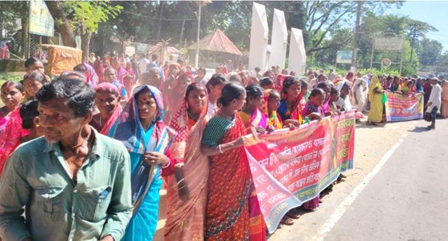 সিলেটে বকেয়া মজুরির দাবিতে চা শ্রমিকদের কর্মবিরতি