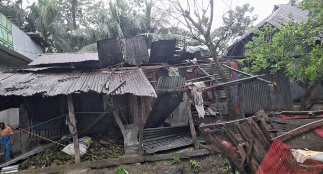 ঘূর্ণিঝড় দানার প্রভাবে মির্জাগঞ্জে সাত ঘর বিধ্বস্ত, শিশুসহ আহত ৩