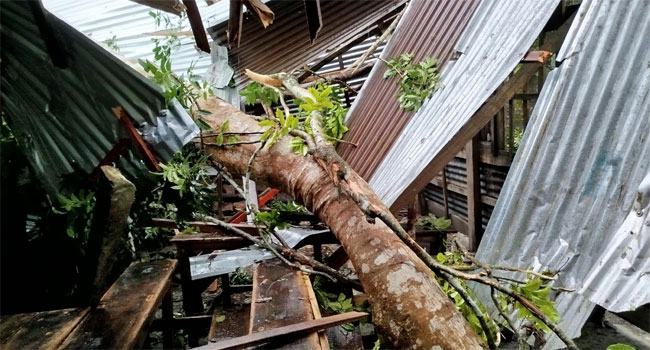 কাঁঠালিয়ায় ঘূর্ণিঝড় দানার আঘাতে শিক্ষাপ্রতিষ্ঠান-বসতঘর বিধ্বস্ত