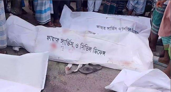 নরসিংদীতে ট্রাকচাপায় সিএনজিচালকসহ নিহত ৬