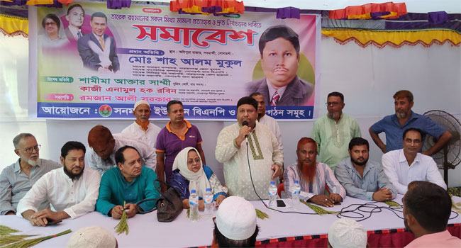 দ্রুত সংসদ নির্বাচনের দাবিতে সোনারগাঁওয়ে বিএনপির সমাবেশ