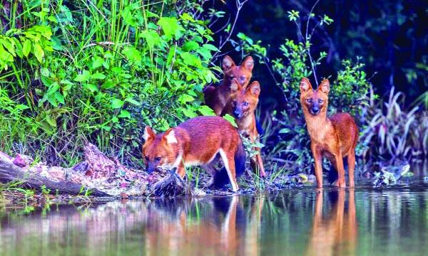 থাইল্যান্ডের প্রথম জাতীয় উদ্যান