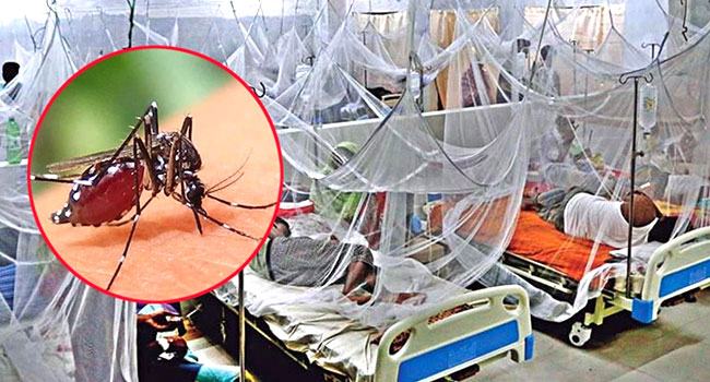 ডেঙ্গুতে আরো ৪ জনের মৃত্যু