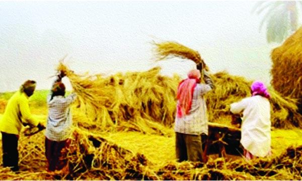 আয় আয় হেমন্ত
