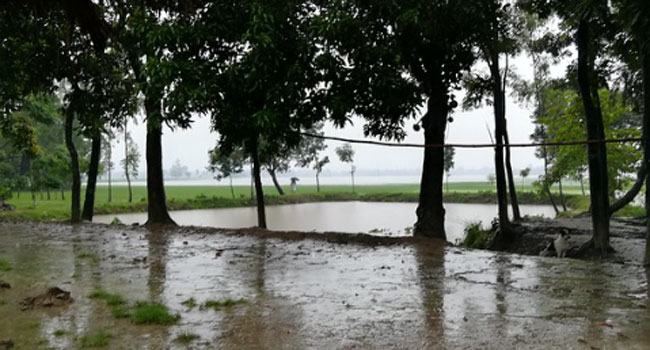 বঙ্গোপসাগরে লঘুচাপ : হতে পারে বৃষ্টি