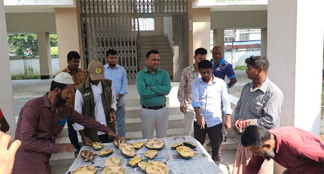 গলাচিপায় বিভিন্ন প্রজাতির ১৭টি কচ্ছপসহ সুকলাল আটক