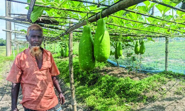 রেললাইনের পাশে সবজি চাষে  স্বাবলম্বী সফিয়ার