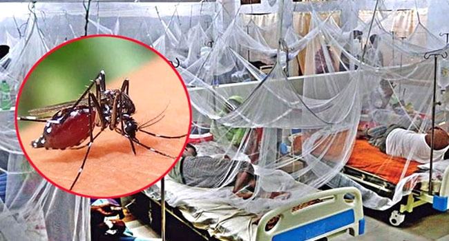 ডেঙ্গুতে আরো ৪ জনের মৃত্যু, আক্রান্ত ১১০৯