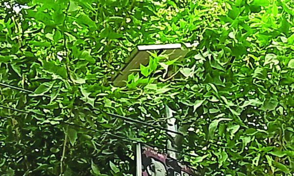 মুখ থুবড়ে পড়েছে ৩ কোটি টাকার সৌরবিদ্যুতের সড়কবাতি