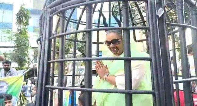 ‘খাঁচায় বন্দী’ হাসিনার প্রতীকী প্রদর্শন