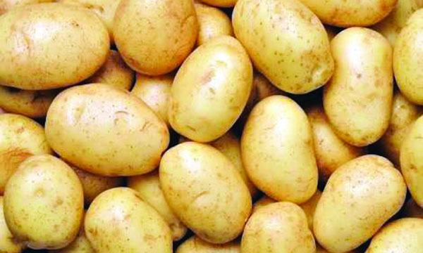 দাম বেশি, খাওয়া হচ্ছে বীজ আলু : উৎপাদন নিয়ে শঙ্কা