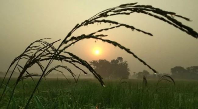 দিন-রাতের তাপমাত্রা কমতে পারে