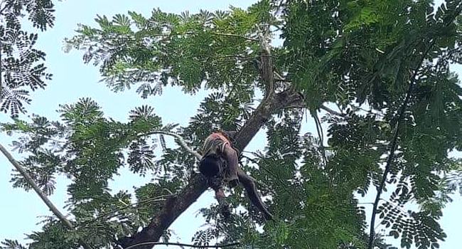গলাচিপায় চুরির অভিযোগে মারধরের ৬ দিন পর প্রতিবন্ধীর মৃত্যু
