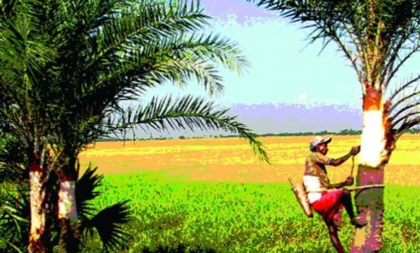 হেমন্তে শীতের বার্তা